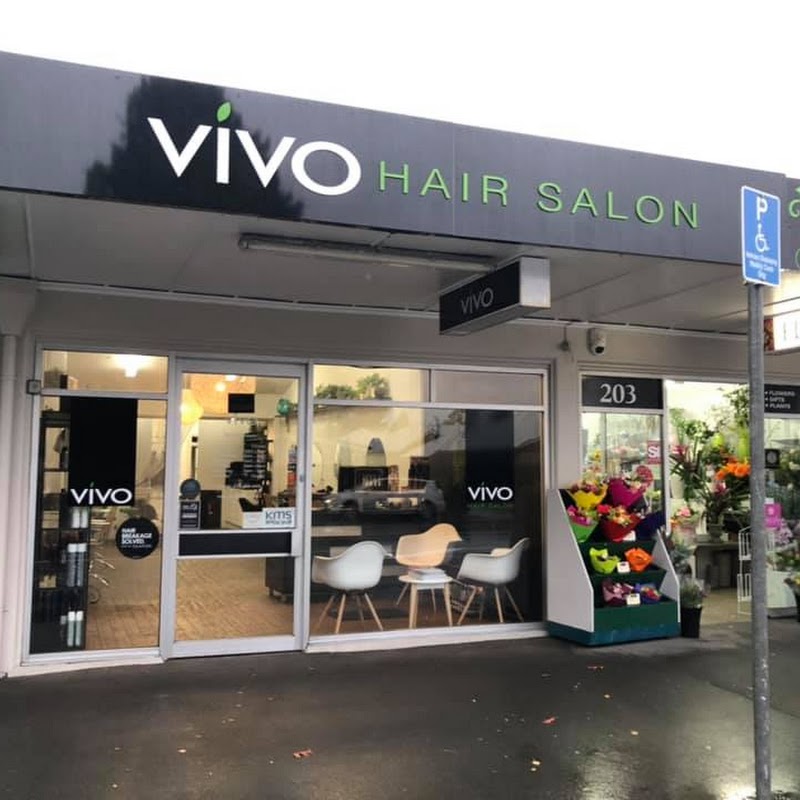 Vivo Hair Salon Ilam