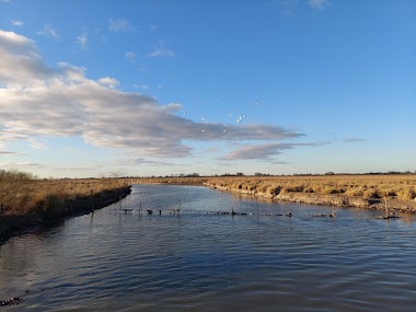 Puente Azul