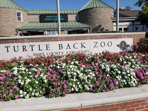 Zoo «Turtle Back Zoo», reviews and photos, 560 Northfield Ave, West Orange, NJ 07052, USA