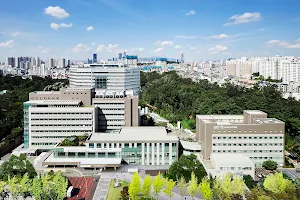 Seoul Boramae Hospital image