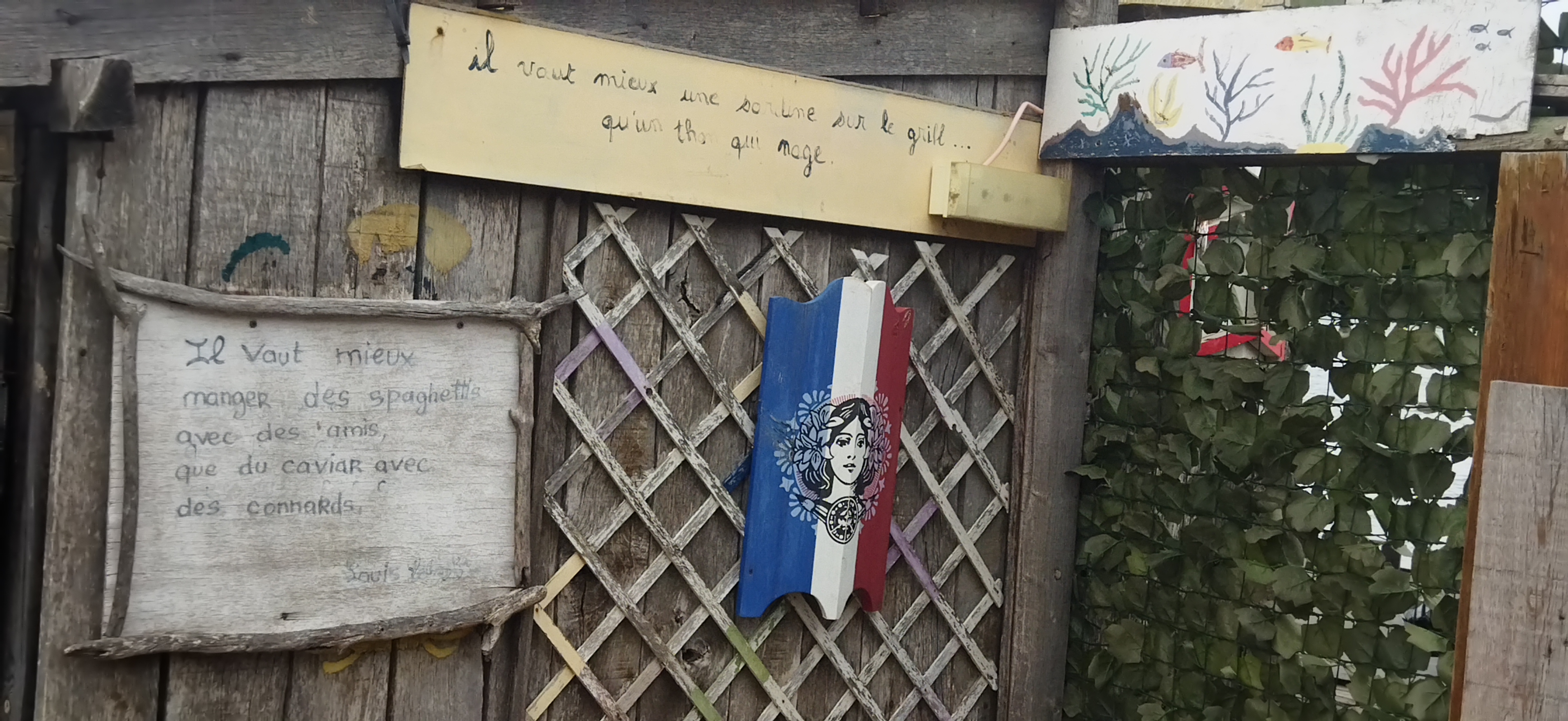 Photo n° 8 de l'avis de COLINE. fait le 25/10/2023 à 13:29
