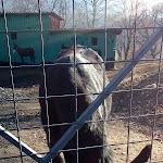 Photo n°8 de l'avis de Pasquale.o fait le 17/02/2019 à 22:05 sur le  Villaggio Rurale Le Sette Querce à Località Montecesima