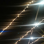 Photo n°3 de l'avis de Eleonora.n fait le 19/08/2023 à 09:58 sur le  Monserrato park à Modica