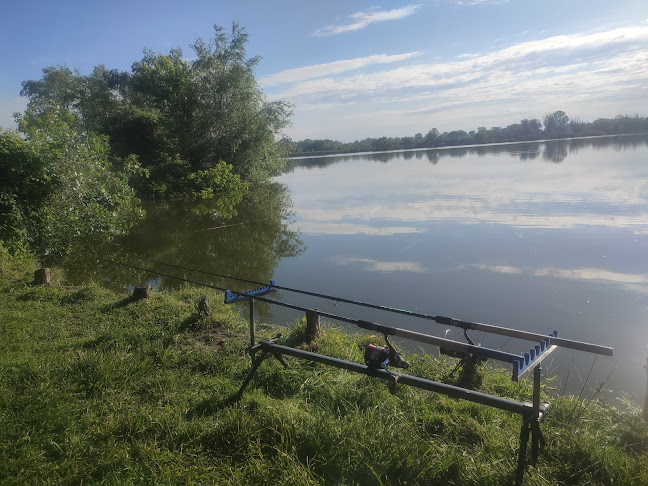 Comentarii opinii despre Aranyponty Horgászcentrum - Örspuszta