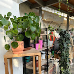 Photo n°28 de l'avis de Baeva.n fait le 24/03/2023 à 18:48 sur le  Caffè La Serra à Venice