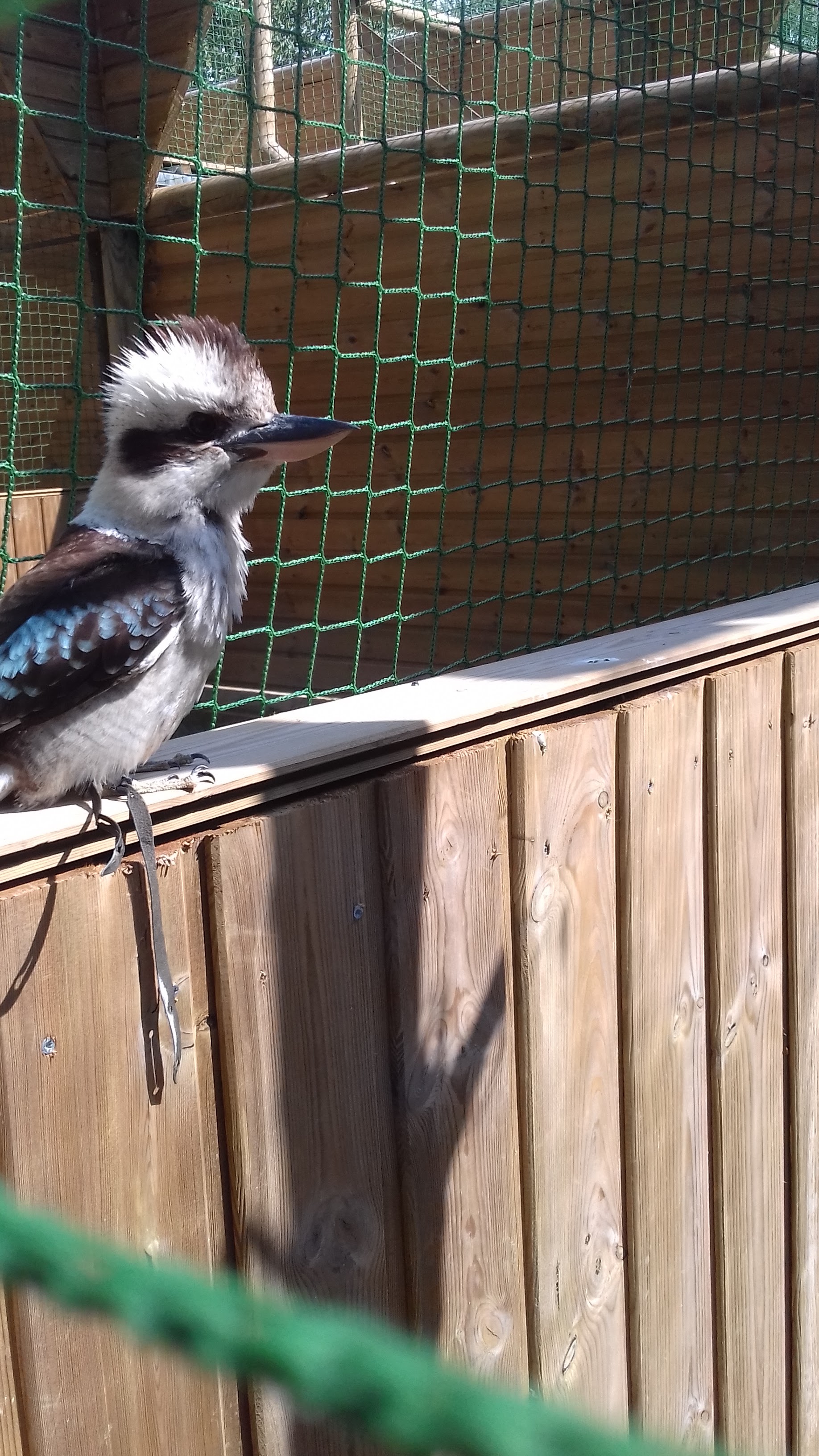 Photo n° 10 de l'avis de Rose. fait le 16/03/2021 à 12:16