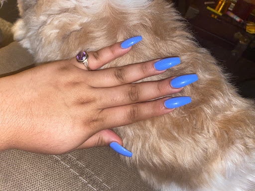 Nail Salon «Nail Care Salon», reviews and photos, 12337 Olive Blvd, Creve Coeur, MO 63141, USA