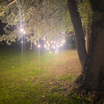 Photo n°2 de l'avis de Antonio.a fait le 31/10/2022 à 13:35 sur le  Restaurant La Casa Gialla à Prata di Pordenone