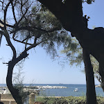 Photo n°3 de l'avis de Laura.o fait le 11/09/2021 à 14:00 sur le  L'Ostricaio à Livorno