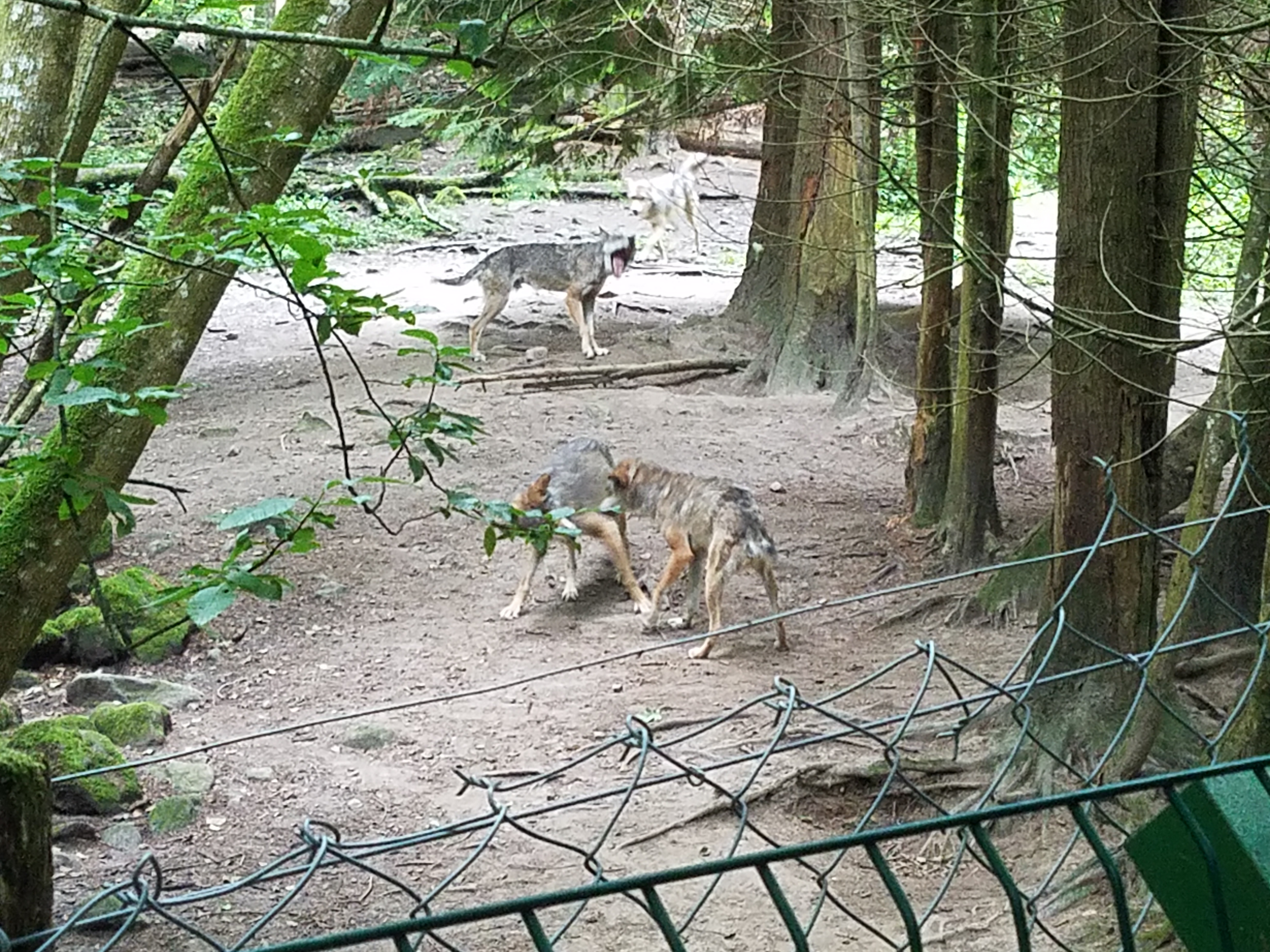 Photo n° 1 de l'avis de Julie.i fait le 03/07/2019 à 14:26