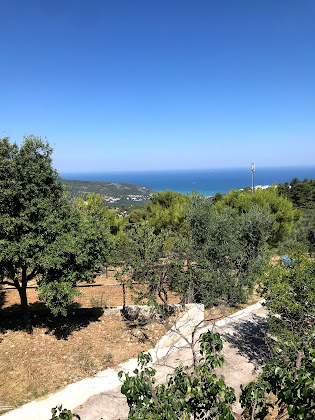 Photos des visiteurs Casa vacanza Casavacanze Passo delle Rondini 71010 Peschici