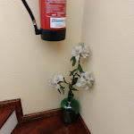 Photo n°16 de l'avis de Soniamaria.a fait le 20/05/2023 à 08:48 sur le  Alojamento Local Casa Veras à Vila Real