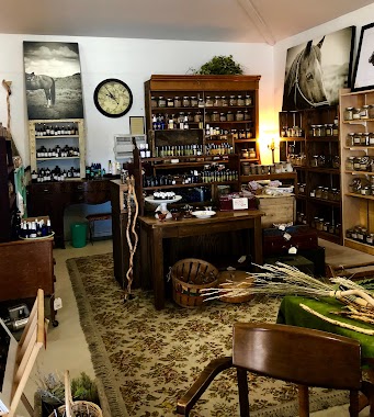 Vintage Apothecary