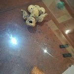 Photo n°5 de l'avis de Teresa.u fait le 24/02/2019 à 15:56 sur le  Autogrill Casilina Est à Castrocielo