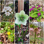 Photo n°1 de l'avis de Saneesh. fait le 10/03/2024 à 21:52 sur le  Landgrafen Jena à Jena