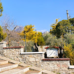 Photo n°2 de l'avis de Peter.t fait le 16/03/2022 à 19:26 sur le  Ristorante Al Miralago à Gargnano