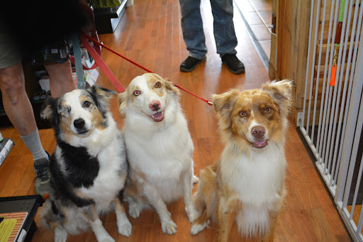 Pet Supply Store «The Natural Pet Enrichment Center», reviews and photos, 6720 Royalton Rd, North Royalton, OH 44133, USA