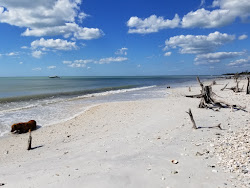 Foto di Keewaydin Island beach area servizi