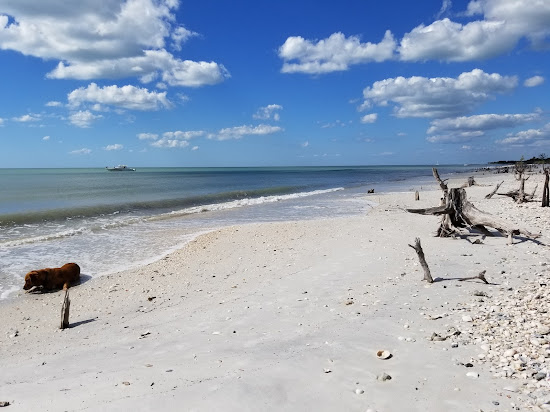 Keewaydin Island beach