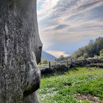 Photo n°2 de l'avis de kevin.i fait le 12/10/2021 à 18:08 sur le  Agriturismo Maso Naranch à Mori