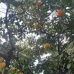 Photo n°2 de l'avis de Michele.o fait le 12/01/2022 à 21:45 sur le  Hotel Diana Pompei à Pompei