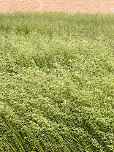 Bicycle Store «Beverly Bike & Ski», reviews and photos, 9121 S Western Ave, Chicago, IL 60643, USA