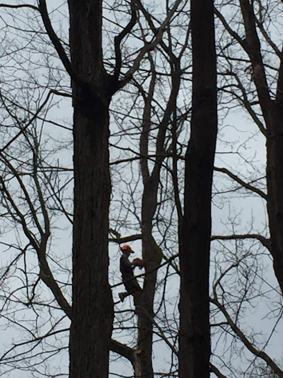 Troyers Tree Service, LLC