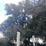 Photo n°3 de l'avis de Nicola.o fait le 05/01/2023 à 18:04 sur le  La Gira à La Foce della Spezia