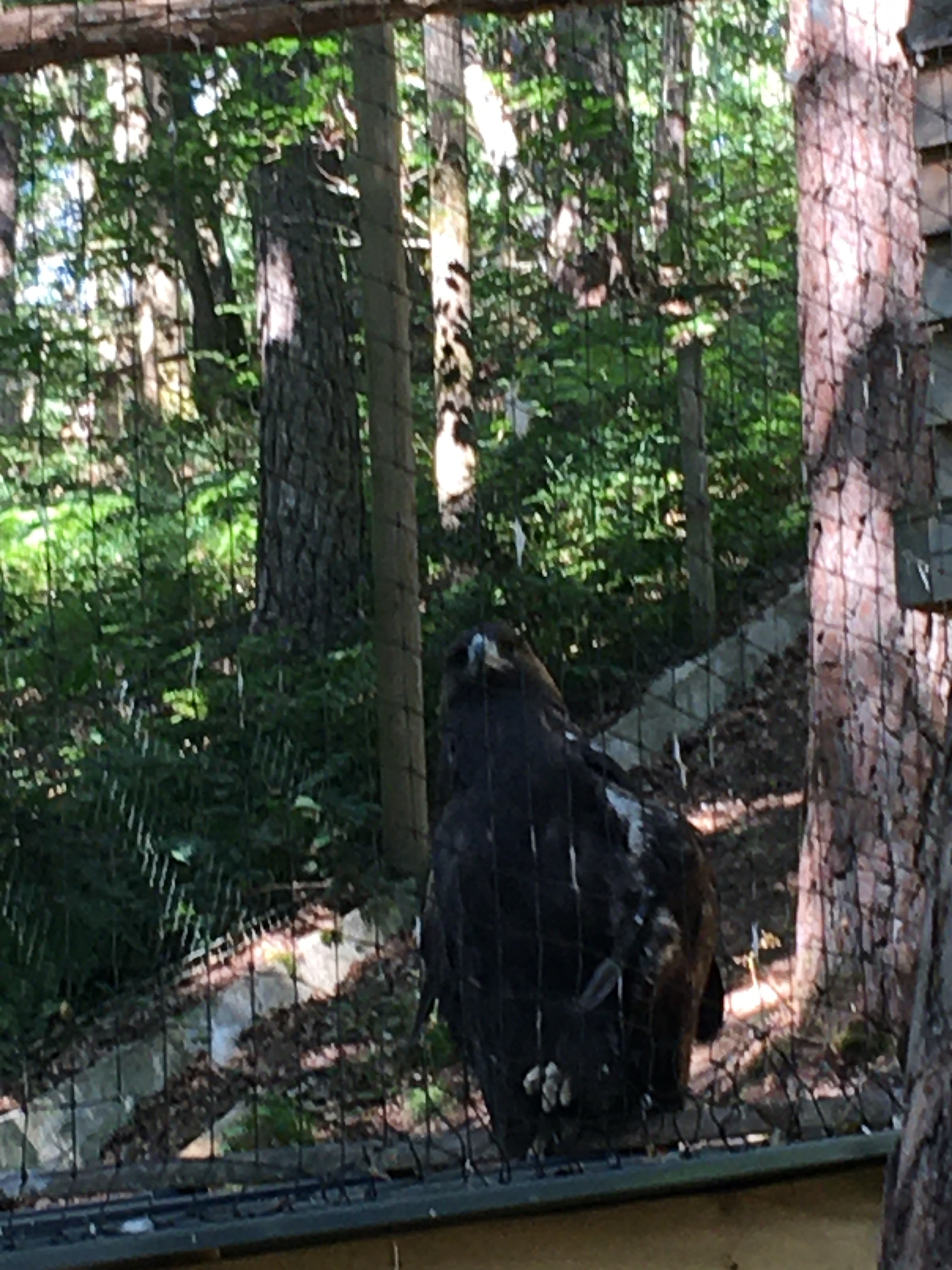 Photo n° 8 de l'avis de Kad.o fait le 12/07/2020 à 13:08