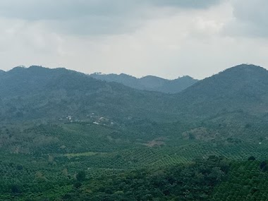 La Esperanza Alamo Ver