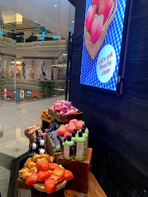 LUSH - photo 19