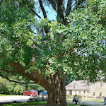 Photo n°2 de l'avis de Herdubreid. fait le 25/07/2021 à 08:13 sur le  Schloßschenke Goseck à Goseck