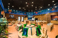 Crème de la Crème School of Mckinney - Photo 4 - Car repair in McKinney, TX, Richardson