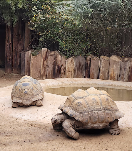 Zoo «Wildlife World Zoo, Aquarium & Safari Park», reviews and photos, 16501 W Northern Ave, Litchfield Park, AZ 85340, USA