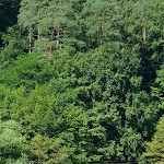 Photo n°5 de l'avis de Heike.e fait le 24/07/2020 à 14:31 sur le  Hotel / Restaurant Christel à Heimbuchenthal