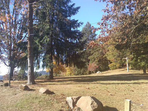 Park «Willamette Heights Park», reviews and photos, 508 Valley View, Springfield, OR 97477, USA