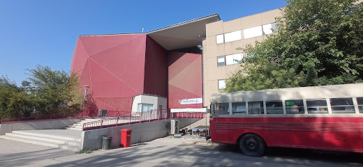 Facultad de Ciencias Sociales de la Universidad de Chile