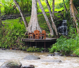 Permata Ayung Private Estate photo