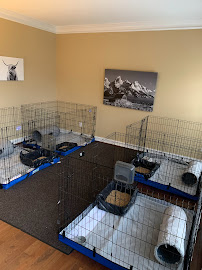 Binky's Boarding, LLC - Photo 5 - Car repair in , Sandy Springs