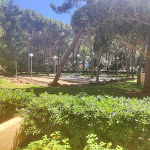 Photo n°13 de l'avis de Jens.i fait le 08/08/2023 à 17:56 sur le  Tirreno Resort à Cala Liberotto