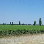 Photo n°3 de l'avis de Luca.o fait le 30/05/2017 à 20:26 sur le  Ristorante Acquamatta (PV) à Semiana