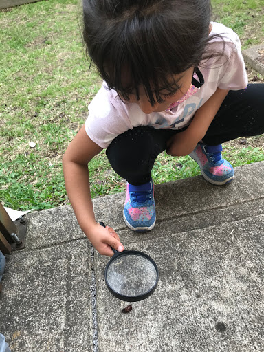 Day Care Center «Teeter Toddler Daycare», reviews and photos, 12525 Whittington Dr, Houston, TX 77077, USA