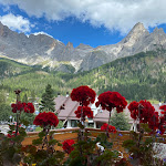 Photo n°4 de l'avis de Stefano.i fait le 08/09/2022 à 06:16 sur le  Hotel Cristallo & Orsingher-San Martino di Castrozza à San Martino di Castrozza