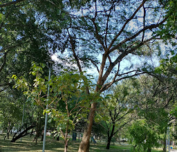 Estrellas Park photo