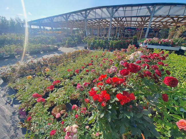 Centrum Ogrodnicze STIHL Grębocin.Autoryzowany Dealer firmy STIHL. - Ogrodnik