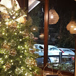 Photo n°10 de l'avis de MARCO.E fait le 13/11/2023 à 07:18 sur le  QC Terme Monte Bianco Spa and Resort à Palleusieux