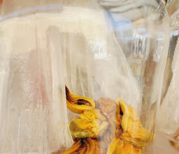 Tacos Ensenada photo