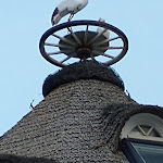 Photo n°3 de l'avis de Marianne.a fait le 05/09/2022 à 11:50 sur le  Heimliche Liebe à Borkum