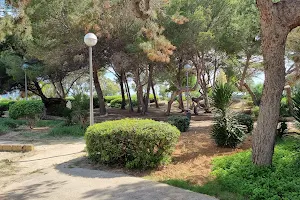 Park - Bosc de la Platja de Palma - image