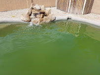 South Mountain Pool Service - Photo 6 - Car repair in , Tempe
